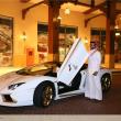 image Lamborghini-Aventador-goud-003.jpg