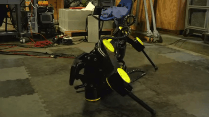 Robotic Critters Make Excellent Rescue Dogs