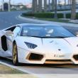 image Lamborghini-Aventador-goud-013.jpg