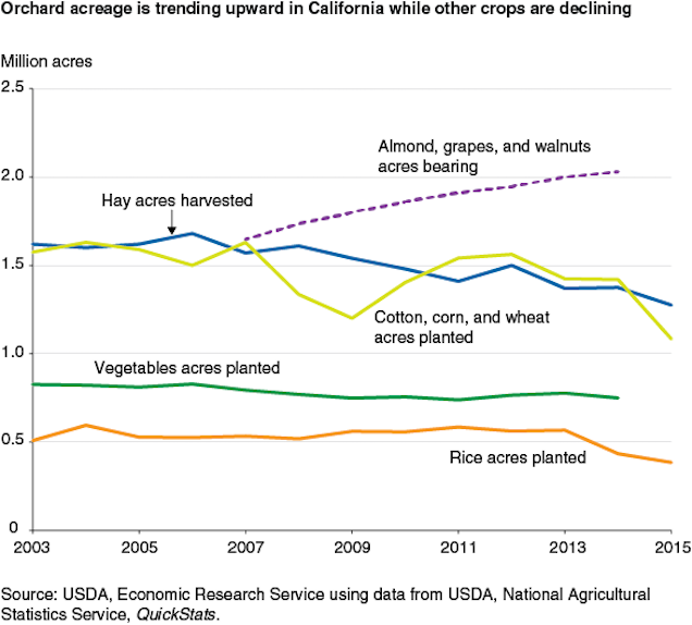 A Simple Explanation for the Paradox of How California’s Almonds Boomed in the Drought