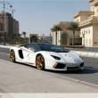 image Lamborghini-Aventador-goud-014.jpg