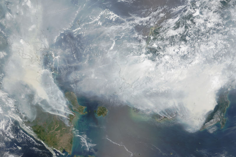 Fires Caused These Massive Plumes of Carbon Monoxide to Appear Over Indonesia