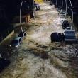 image Frankrijk-overstroming-2015-03.jpg