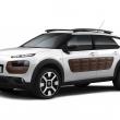 image citroen-c4-cactus-004.jpg