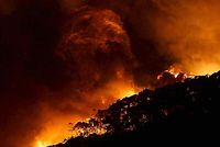De bosbranden ten zuiden van Melbourne zien er spectaculair uit, maar verwoesten ondertussen honderden hectares land.