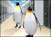Snap-Happy Trojan Targets Linux Servers