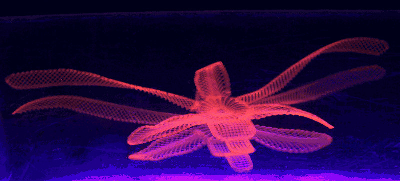 This 4D-Printed Flower Twists and Curls All By Itself
