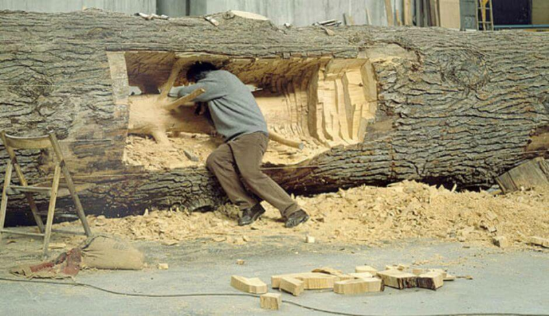 Giuseppe Penone's Hidden Life Within Shows Off A Tree Within A Tree