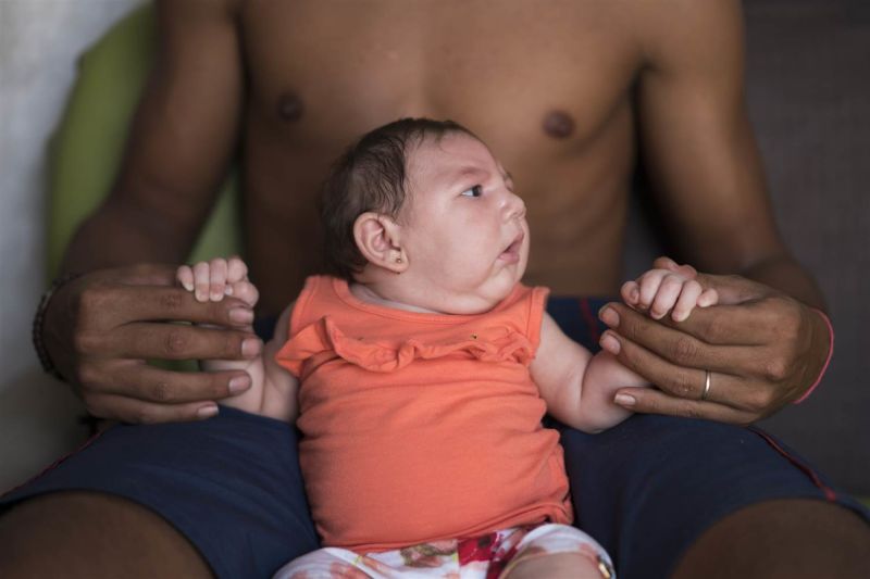 The US Should Expect 'Limited' Outbreaks of the Zika Virus