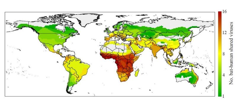 New Maps Identify Possible Hot Spots for Bat-Transmitted Diseases