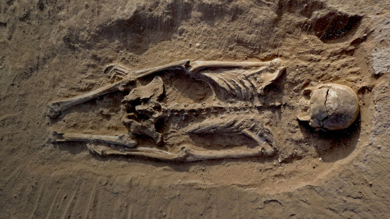Discovery of Brutal Prehistoric Massacre Pushes Back History of Human Warfare