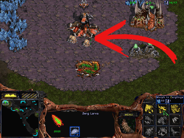 Image titled 4 Pool in StarCraft Step 5