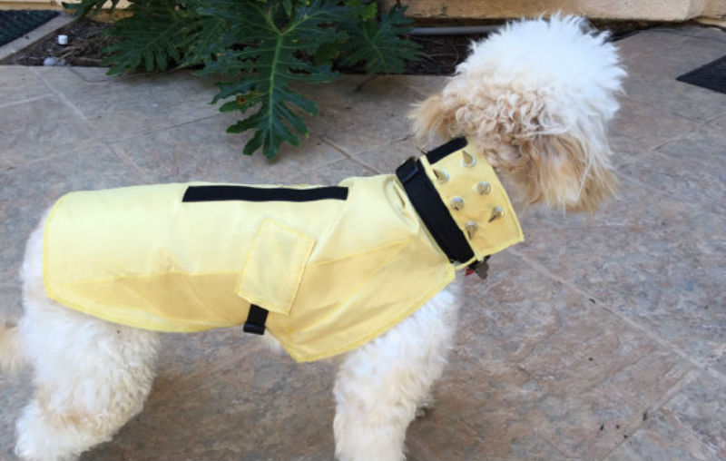 Turn Your Dog Into a Punk Porcupine Weapon With This Anti-Coyote Kevlar Vest 