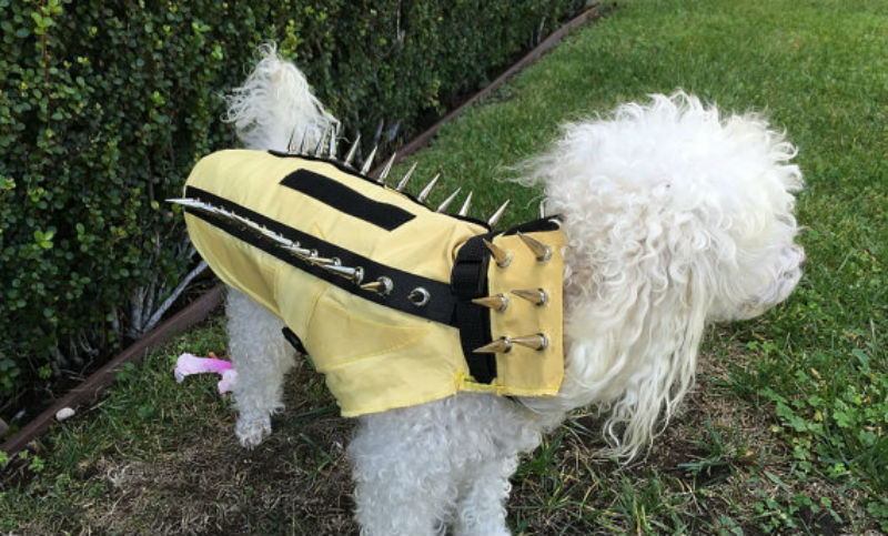Turn Your Dog Into a Punk Porcupine Weapon With This Anti-Coyote Kevlar Vest 