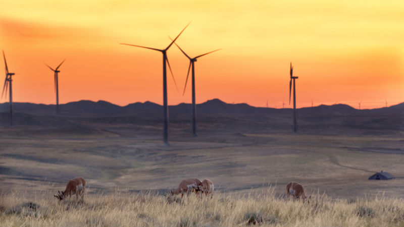 Solar and Wind Could Be the Dominant Source of Power in the US by 2030