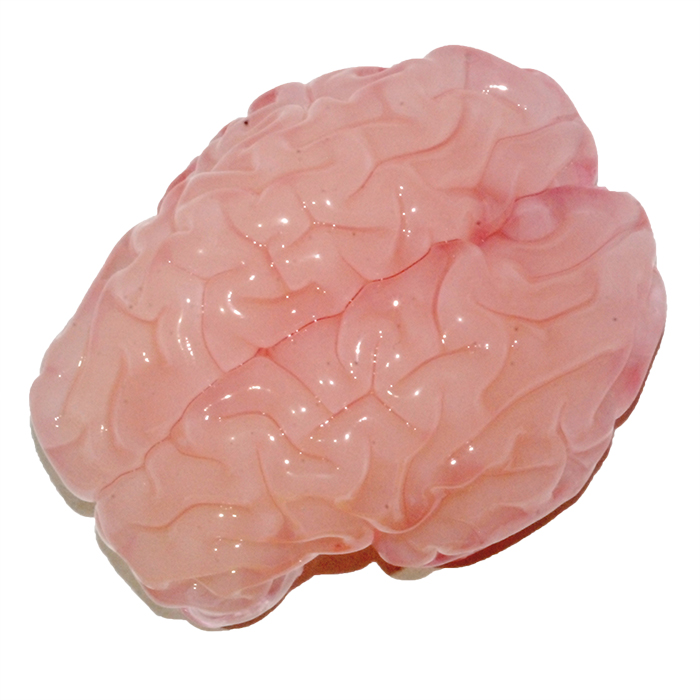 3D-Printed Gel Folds Almost Exactly Like a Real Baby Human Brain