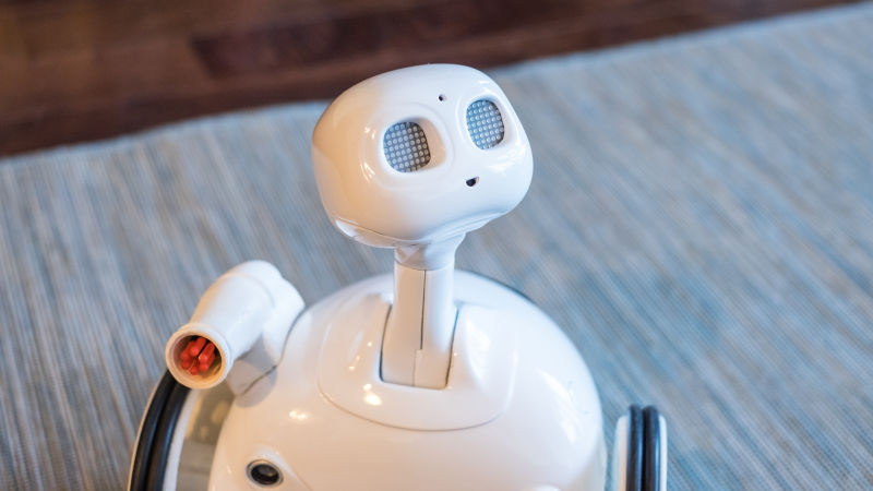 I Fell In Love With This Adorable Home Robot