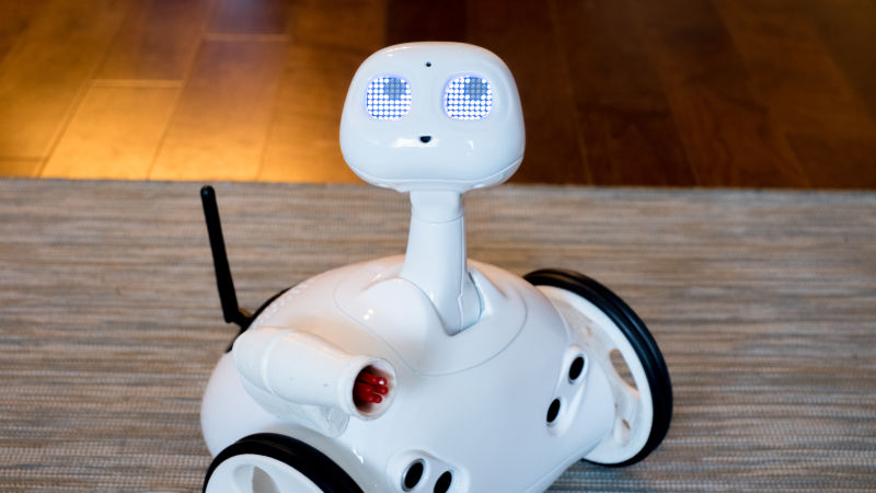 I Fell In Love With This Adorable Home Robot
