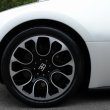 image Bugatti_Veyron_Sang_Blanc_11.jpg