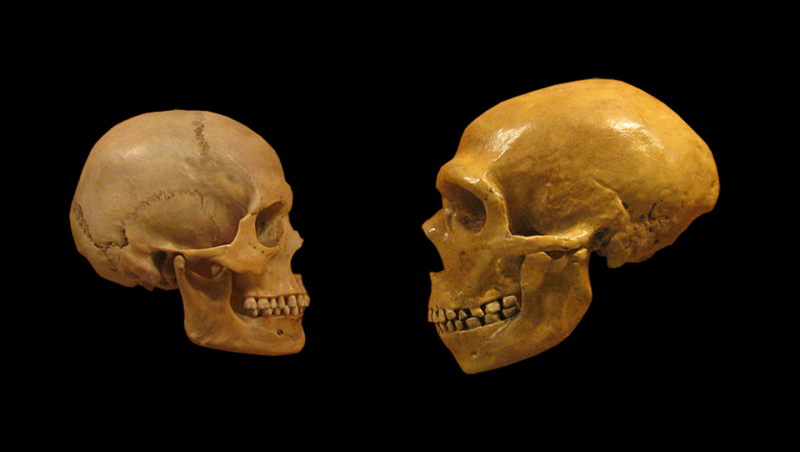 Having Neanderthal DNA Linked to Depression and Nicotine Addiction