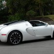 image Bugatti_Veyron_Sang_Blanc_04.jpg