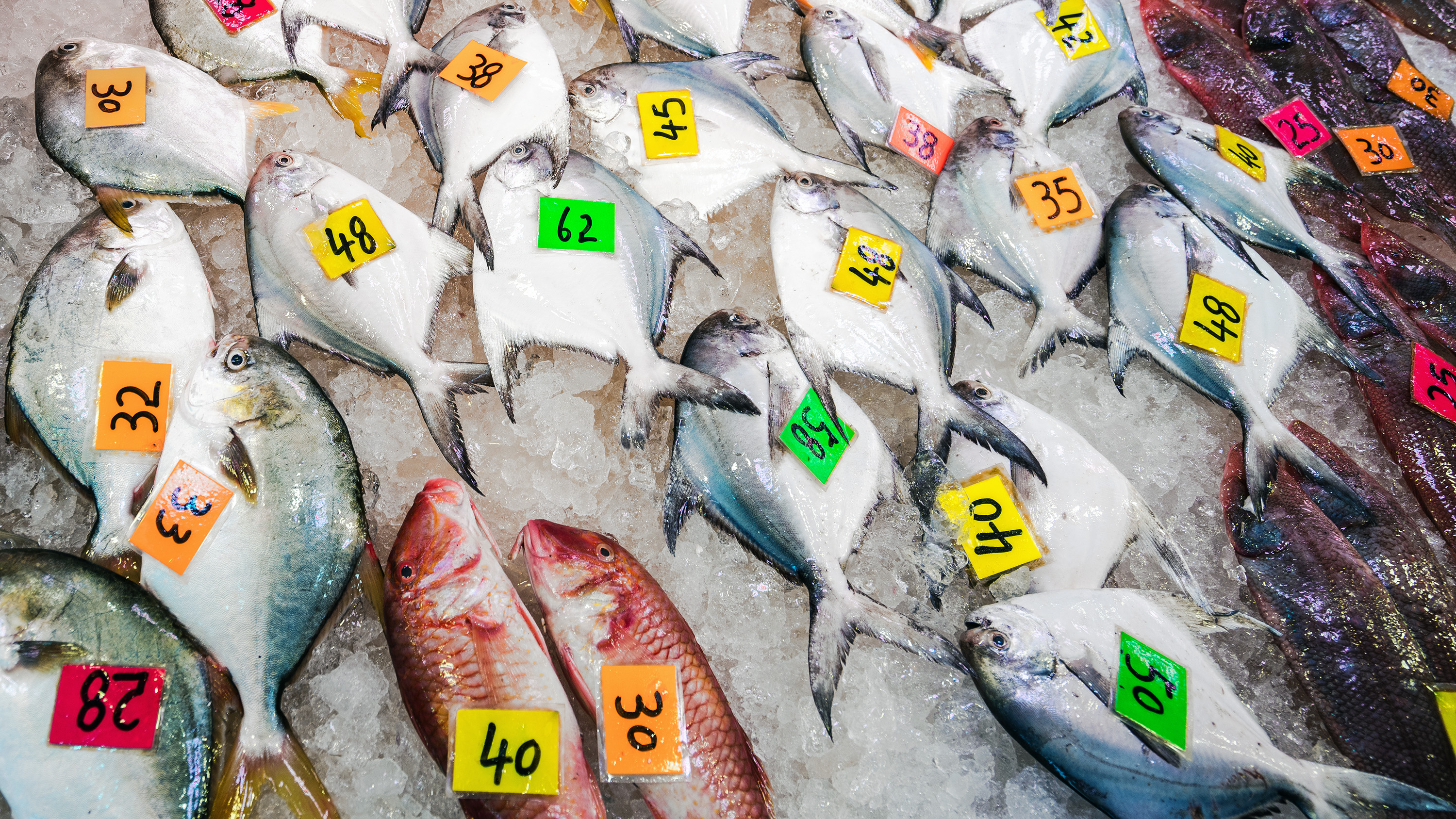 vådt marked, der sælger fisk