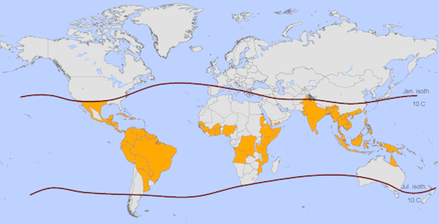 The World’s First Dengue Fever Vaccine Is Coming to 3 Countries