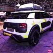 image Citroen-C4-Catcus-Aventure-Concept-7076.jpg