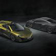 image 675LT_Spider_005.jpg
