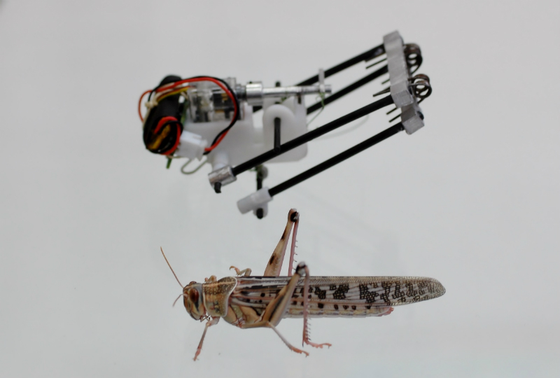 This Locust Robot Jumps 11 Feet High and Could Scour Disaster Zones