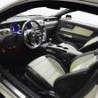image Ford-Mustang-50-Year-Limited-Edition-2014-005.jpg