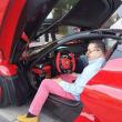 image laferrari-crash-hongarije-15.jpg