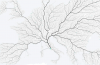 Not All Roads Actually Lead to Rome