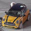 image Mini-orange-03.jpg