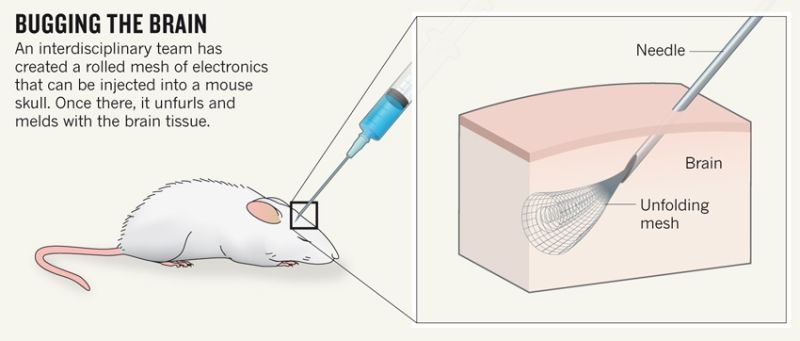 The Most Futuristic Predictions That Came True in 2015