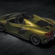 image 675LT_Spider_002.jpg