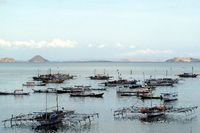 Vissersboten in Indonesië.
