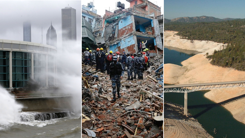It Was a Wild, Weird Year to Live on Planet Earth