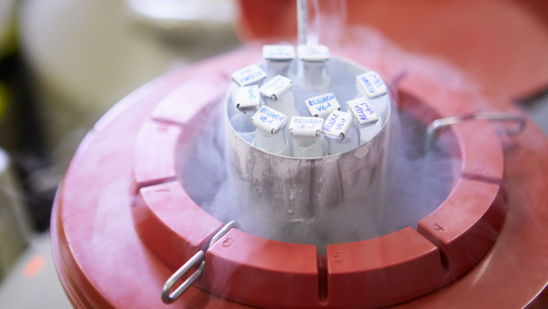 Are Sperm Banks in the Business of Eugenics?
