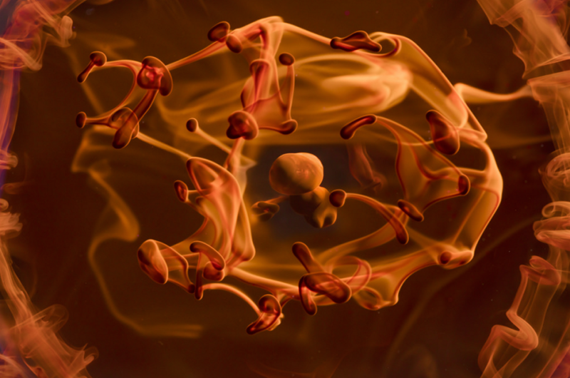 There's Some Complex Physics In These Photos of Ink Falling Through Water