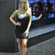 image sema-2015-babes-038.jpg