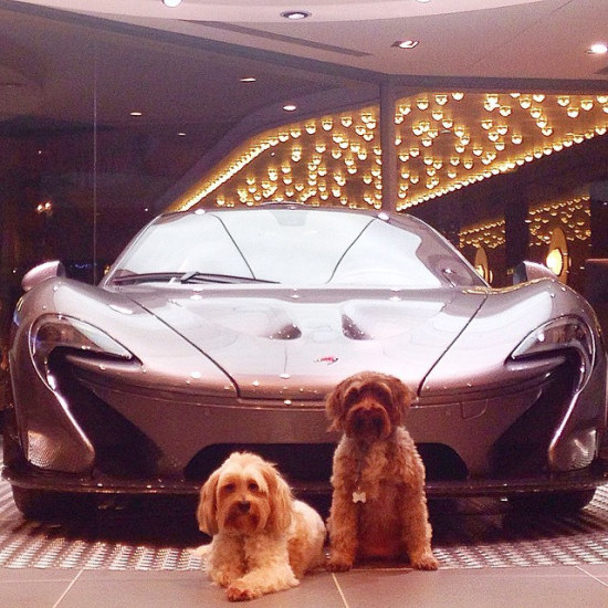 P1
