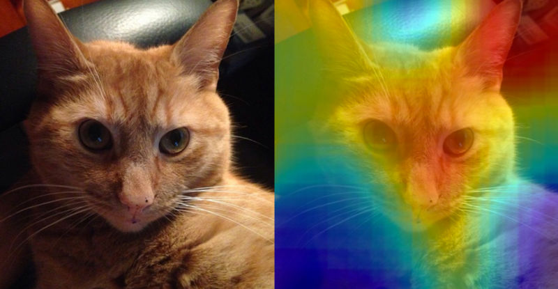 This New Deep Learning Tool Shows You the Most Memorable Parts of Your Photos