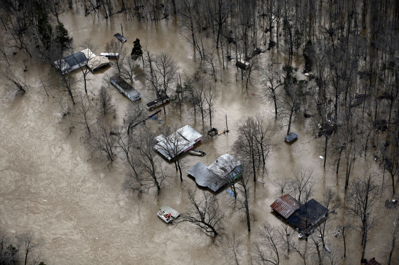 It Was a Wild, Weird Year to Live on Planet Earth