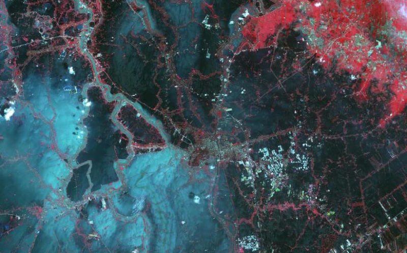 The Disaster Most Likely to Cause Global Famine Is Not an Earthquake, Storm, Tsunami, or Flood