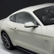 image Ford-Mustang-50-Year-Limited-Edition-2014-017.jpg