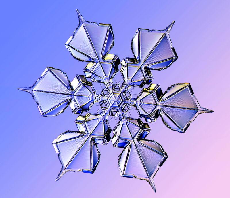 This Physicist's Designer Snowflakes Are Dazzling