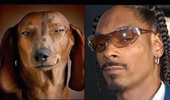 Bang voor je rijexamen? Huur een lookalike!