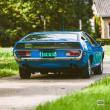 image Lamborghini-Espada-5838.jpg