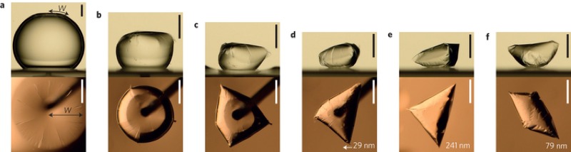 These Shrink-Wrapped Mini-Droplets Look Like Tiny Empanadas